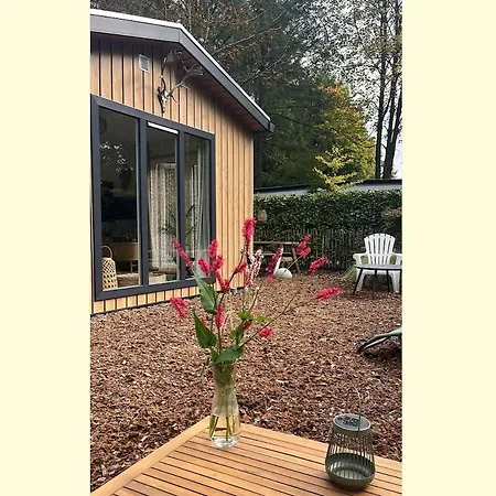 Knusse Tiny House Op De Veluwe *